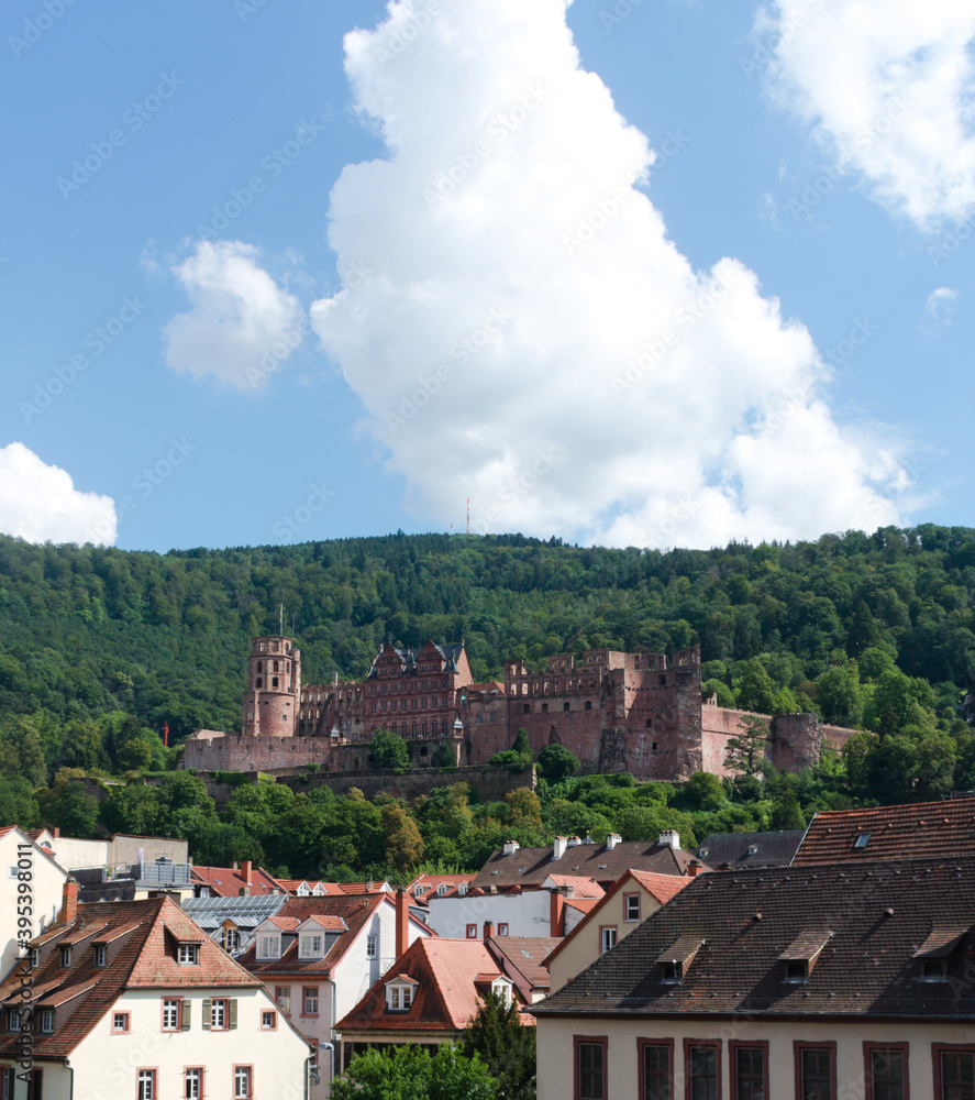 Heidelberg in Germany. View of the city. 