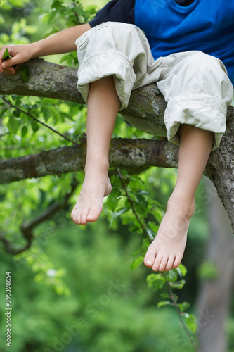Little Boy Sitting On Tree Branch © moodboard