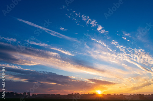 green rapeseed field leading to the beautiful sunrise sky © Martin
