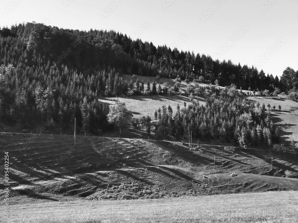 nature panorama with treeline and hills near Oberkirch, Germany