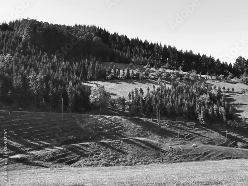 Obraz na płótnie nature panorama with treeline and hills near Oberkirch, Germany w salonie