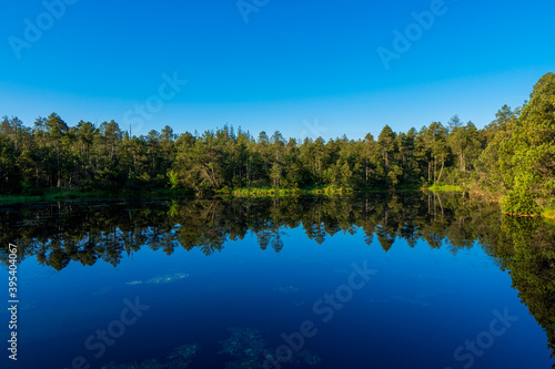 Fototapeta Naklejka Na Ścianę i Meble -  Tree Reflections in the lake in morning sunrise