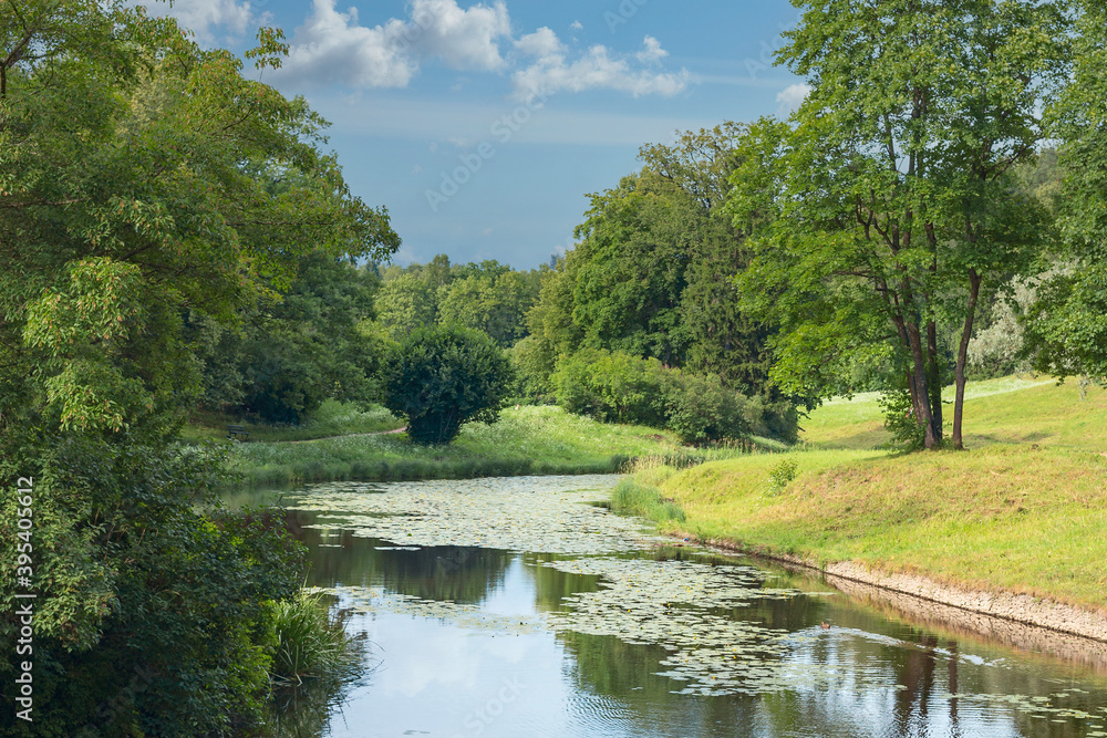 view of a sunny lawn on the bank of a river among lush vegetation in a country park in the suburbs of St. Petersburg, Russia