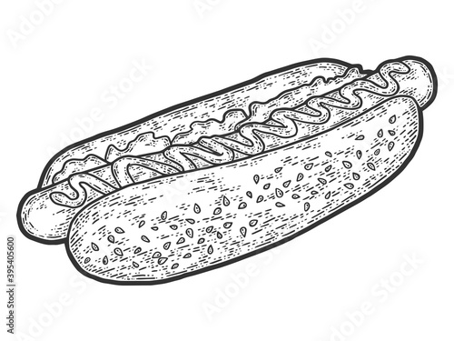 Hot dog engraving vector illustration. Sketch scratch board imitation.