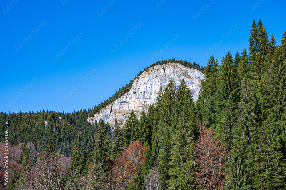 Rocky peak in the forest