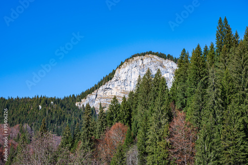 Obraz na płótnie Rocky peak in the forest w salonie