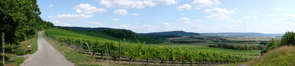 bavarian vineyard valley panorama at the Steigerwald