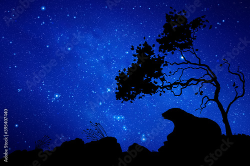 Bear under tree at night. Wild animal silhouette. Blue starry sky