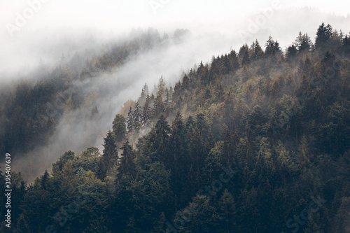 Mystischer Nebelvorhang in den Bergen