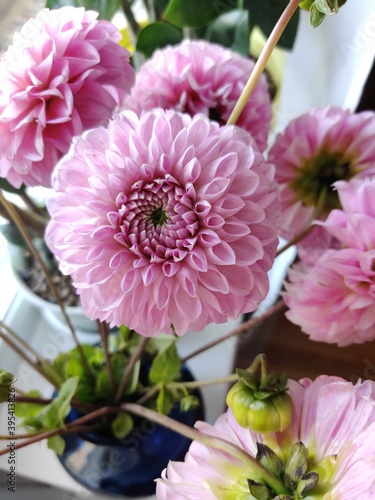 Bouquet of pink chrysanthemums in a vase