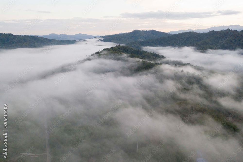 An aerial view of tropical rainforest in morning, Stunning view of Borneo Rainforest with misty
