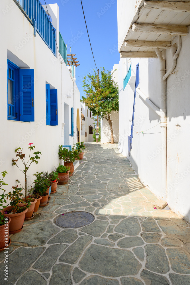 Cobbled street decorated with flower pots in Chora on Folegandros Island. Cyclades, Greece