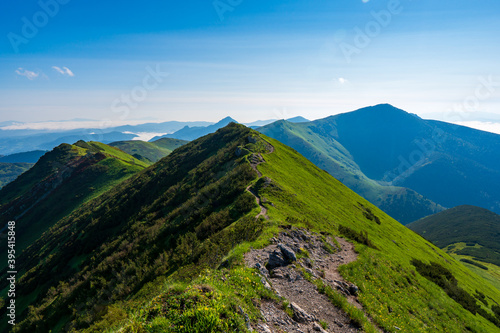 Green mountain covered with forest on the blue sky background. Slovak mountains trekking path in Mala Fatra slovakia