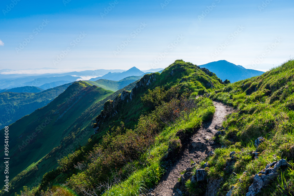 Obraz premium Green mountain covered with forest on the blue sky background. Slovak mountains trekking path in Mala Fatra slovakia