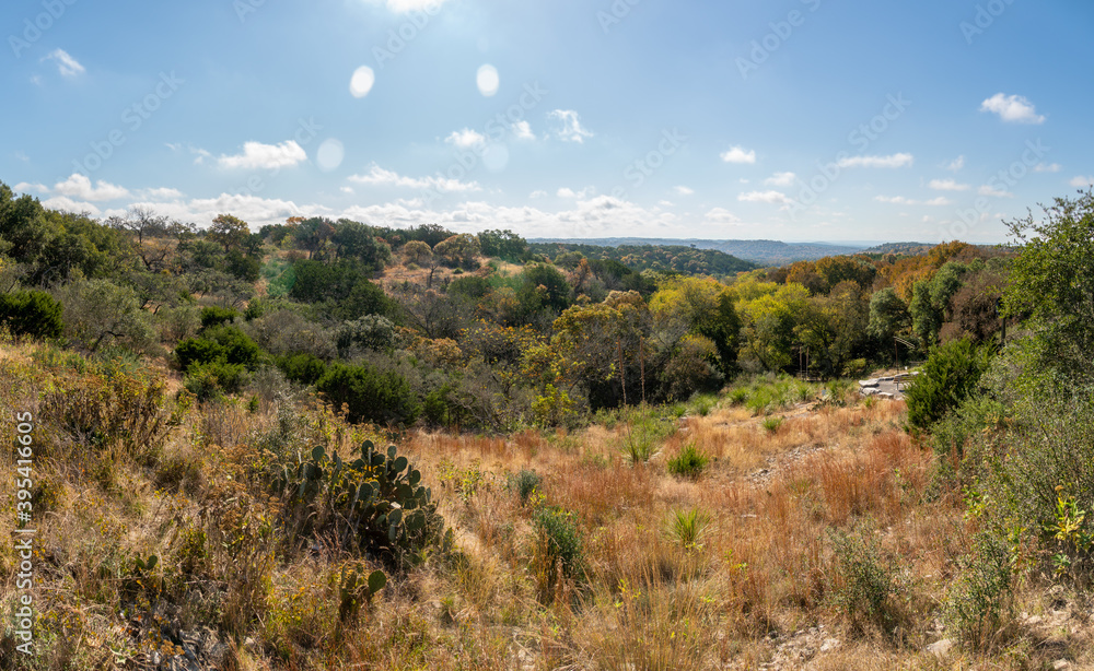 Wide Angle Landscape View of Typical Texas Hill Country Dense Vegetation Wide Angle Landscape View of Typical Texas Hill Country Dense Vegetation