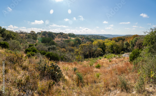 Wallpaper Mural Wide Angle Landscape View of Typical Texas Hill Country Dense Vegetation Torontodigital.ca
