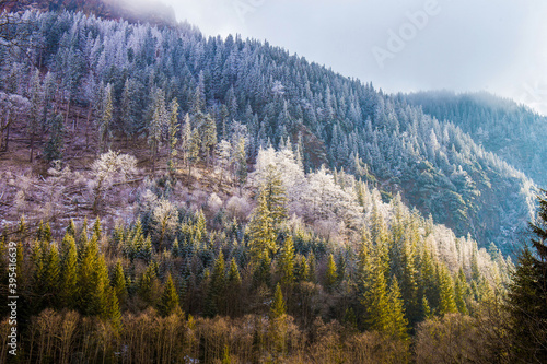 Hills with forest Tatry reserve Poland