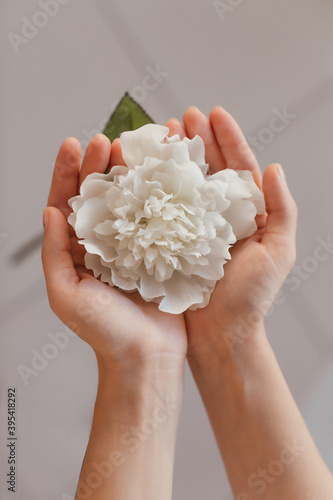 female hands hold a flower in the palms