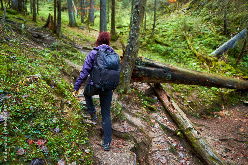 Active hiker woman on a trail Active hiker woman on a trail