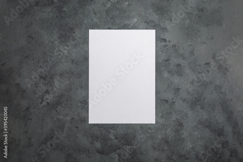 A4 paper with plant on grey grunge background