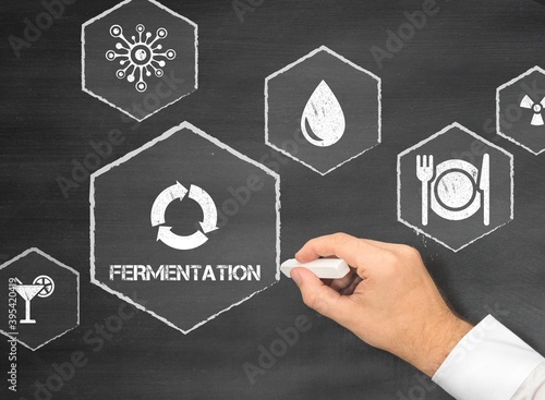 Obraz na plátně fermentation