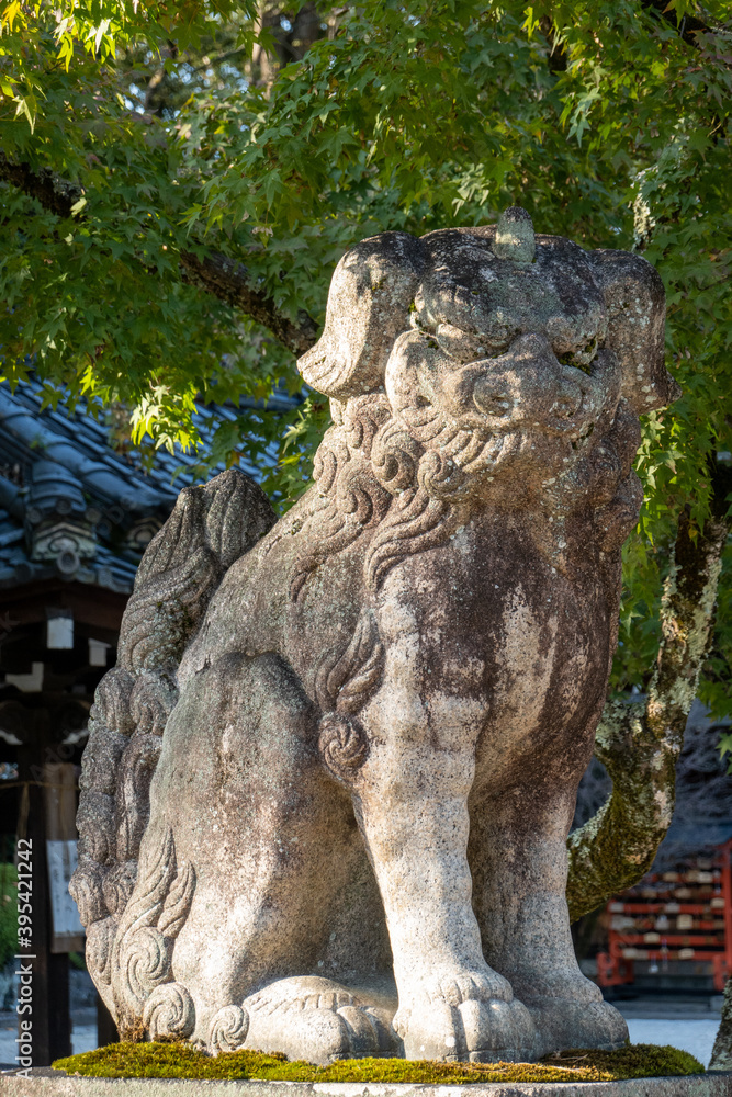 今宮神社の狛犬