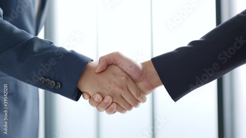 Professional businessman making handshake for deal, agreement and successful concept