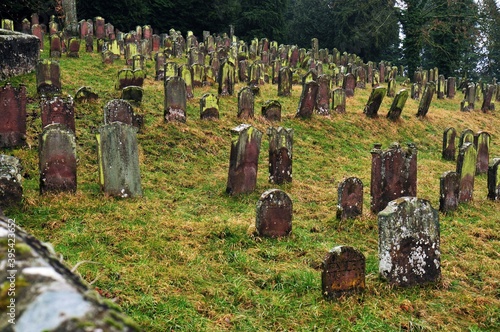 Judenfriedhof in Schmieheim Gemeinde Kippenheim. - German Jewish Cemetery   photo