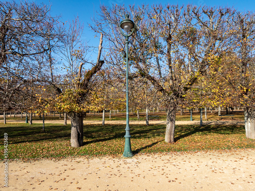 Lamp post in the blossac park, in Poitiers, west-central France. Blue sky and sunny day. Photographed in autumn, many colored leaves on the ground. photo