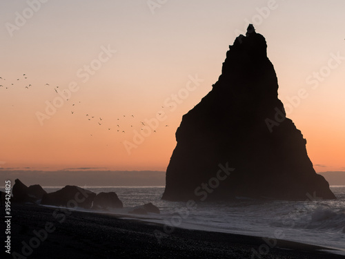 The cliffs by Vík, Iceland. The birds go from the left to the rock. Photographed at sunrise. 