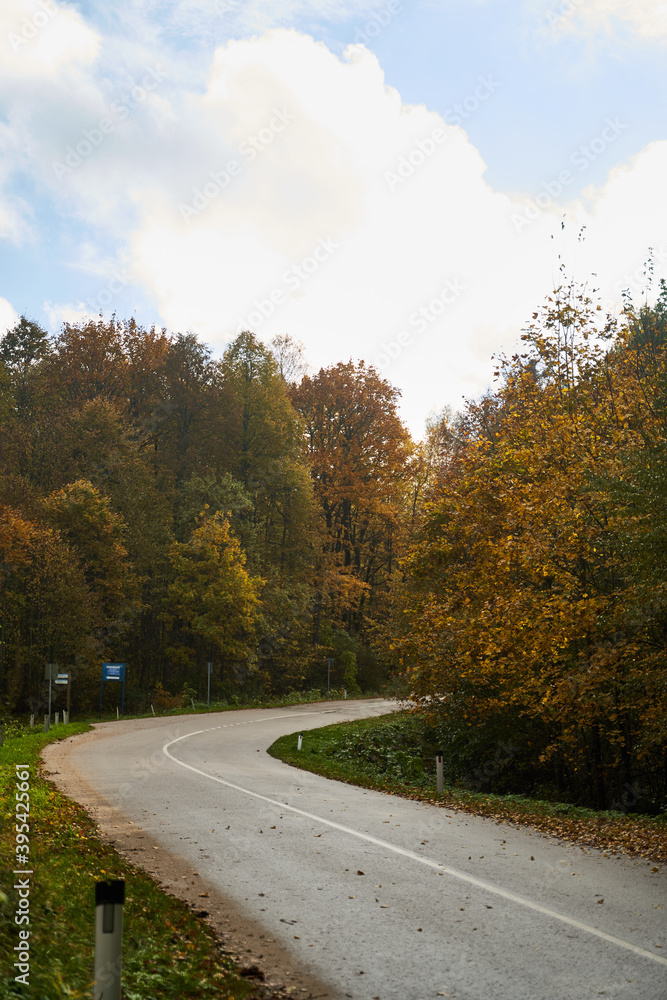 Fototapeta premium Asphalt road in the autumn forest in the afternoon