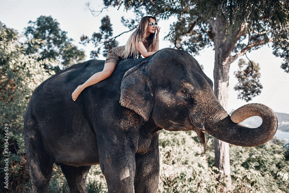 Wonderful caucasian model in a leopard skirt  riding an elephant in the forest. Phuket. Thailand