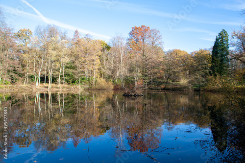 Spiegelung im Herbst