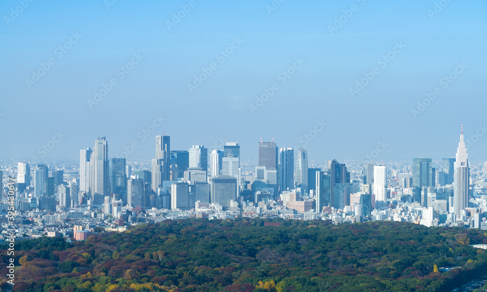 Fototapeta premium 東京風景