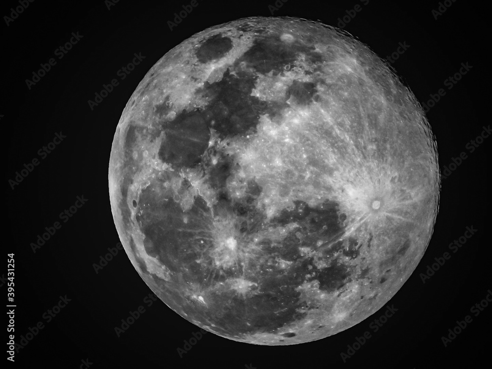 Obraz premium moon in the night