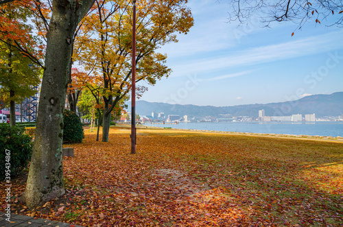 滋賀県の大津湖岸なぎさ公園と紅葉
