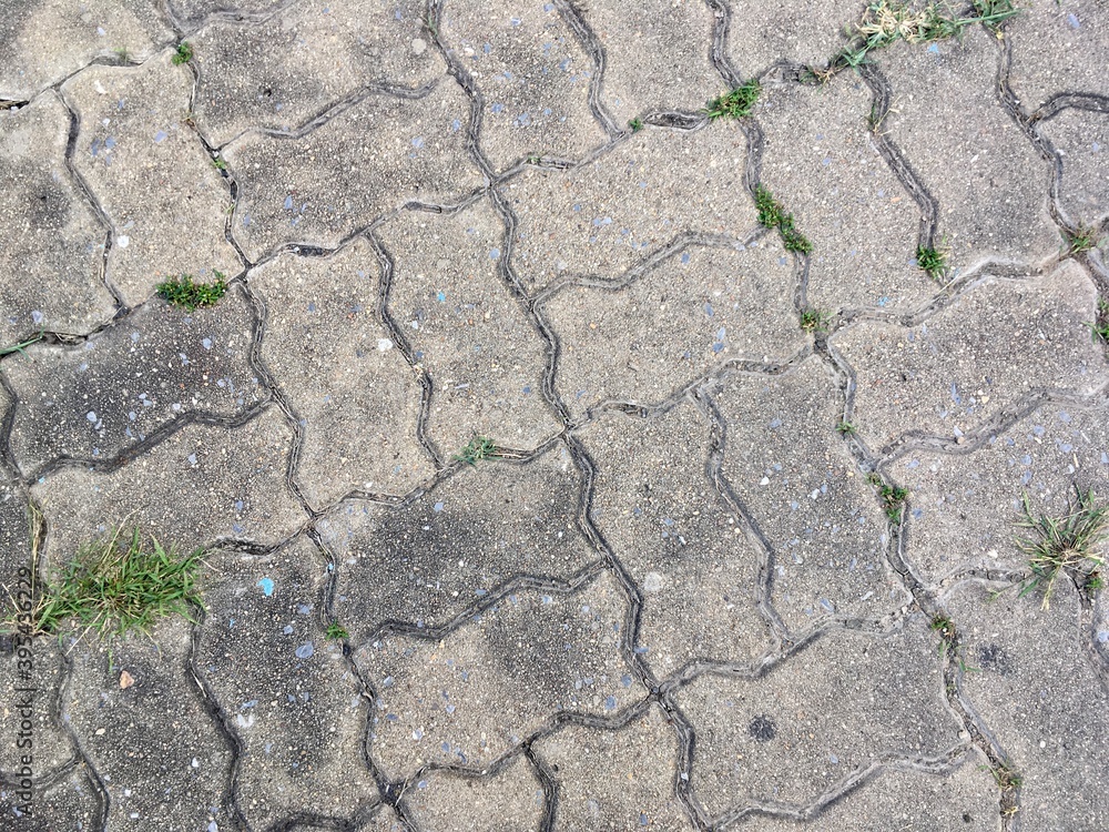 cracked soil background