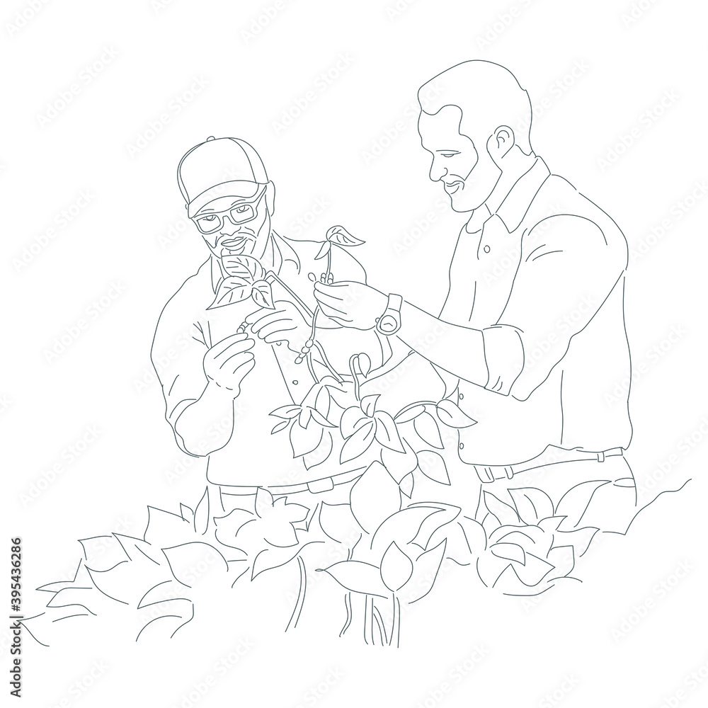 Fototapeta premium Farmers on soybean field line art illustration. Hand drawn