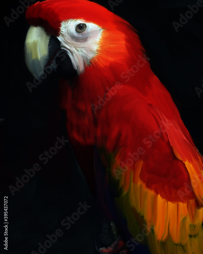 parrot