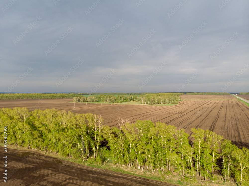 Plowed field on forest background. Cloudy day.