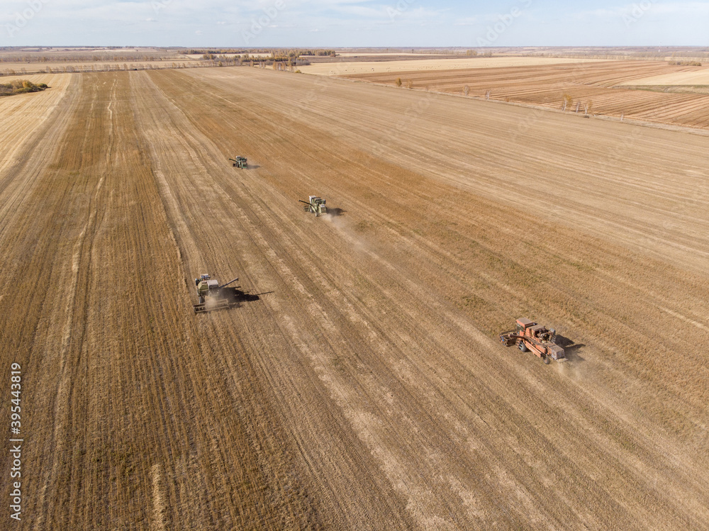 Obraz premium plowed agricultural crop field on which there were traces of the transported vehicles during the processing of the field