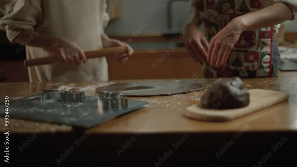 Mom and daughter are preparing cookies for the New Year and Christmas in the kitchen. Mom teaches her daughter to bake cookies. Dough preparation. Mom and daughter are preparing cookies for the New Year and Christmas in the kitchen. Mom teaches her daughter to bake cookies. Dough preparation.