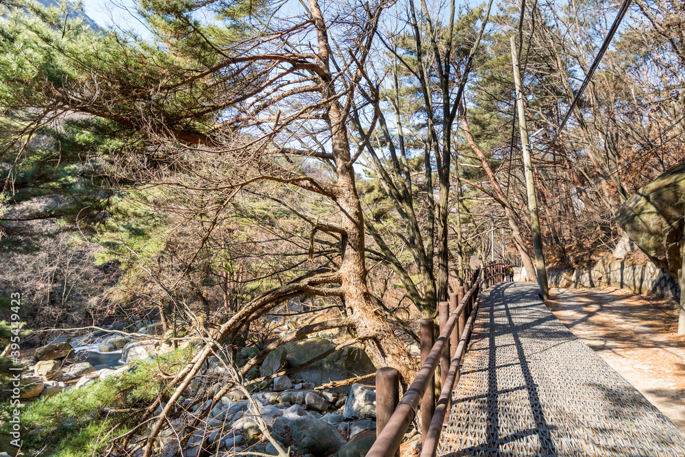 Valley, footpath and trees of Bukhansan mountains in Seoul, South Korea, national park of Bukhansan.