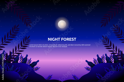 Scenery blue sky and sea with starry night and pine tree wood on mountain