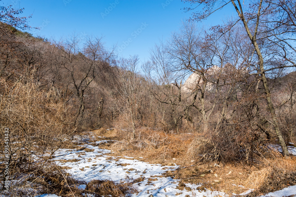 Snow with forest and weeds at the valley of Bukhansan Mountain national park in Seoul of South Korea. Snow with forest and weeds at the valley of Bukhansan Mountain national park in Seoul of South Korea.