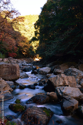 秋の高槻摂津峡の紅葉