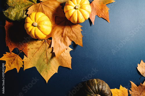Happy Thanksgiving Day with maple leaves and pumpkin on blue background