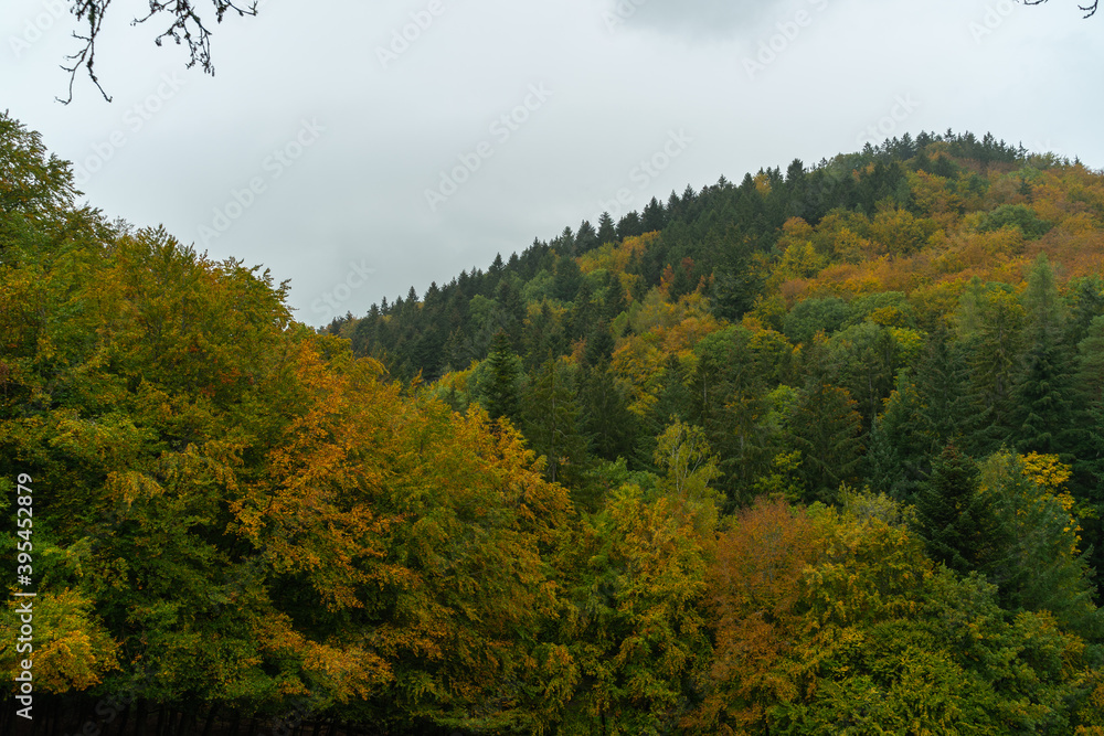 Herbstliche Landschaft im Schwarzwald Herbstliche Landschaft im Schwarzwald