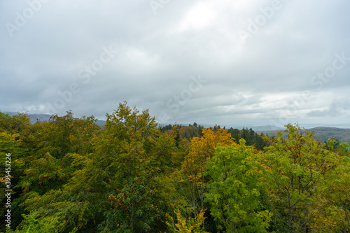 Fototapeta Naklejka Na Ścianę i Meble -  Herbstliche Landschaft im Schwarzwald