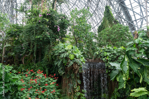 夢の島植物園の温室